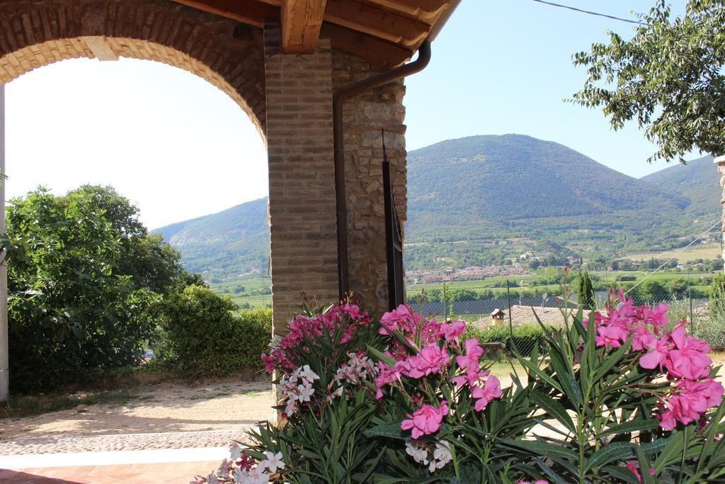 Giardino Degli Ulivi Apartman Caprino Veronese Kültér fotó