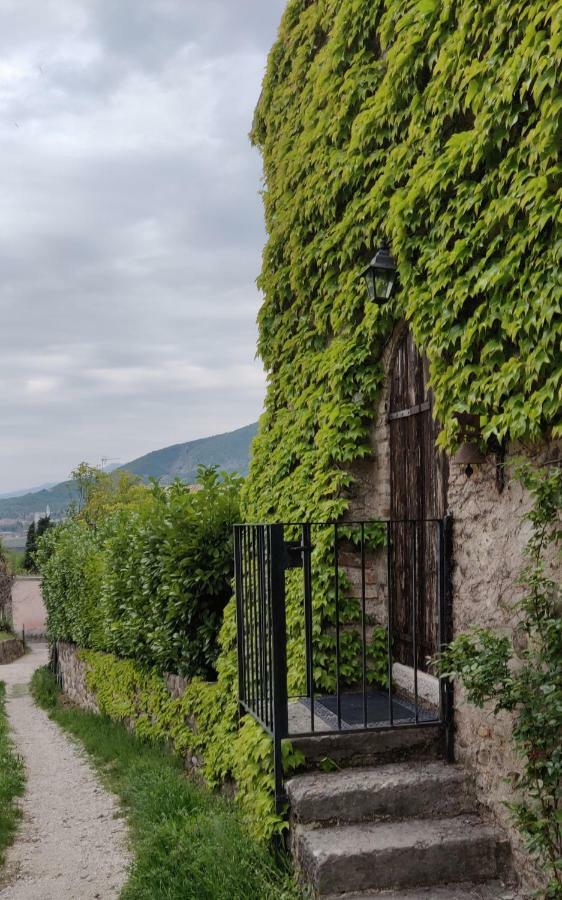 Giardino Degli Ulivi Apartman Caprino Veronese Kültér fotó