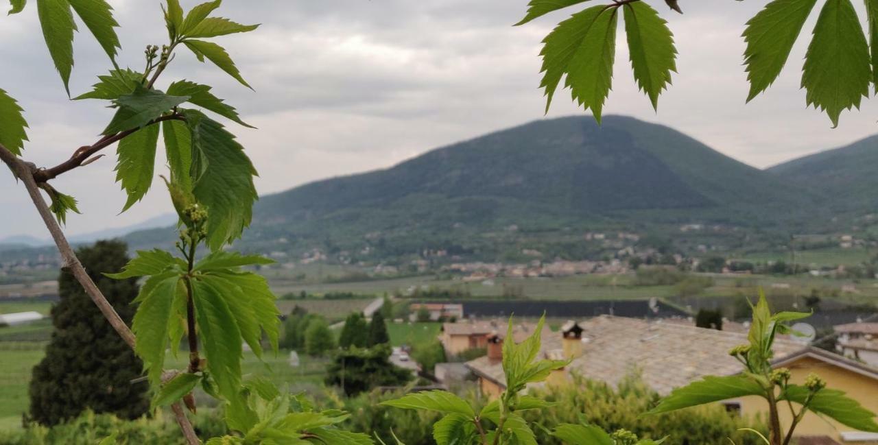 Giardino Degli Ulivi Apartman Caprino Veronese Kültér fotó